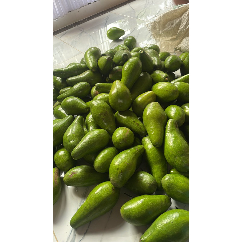 

Alpukat Mentega 1kg isi 3-4 buah