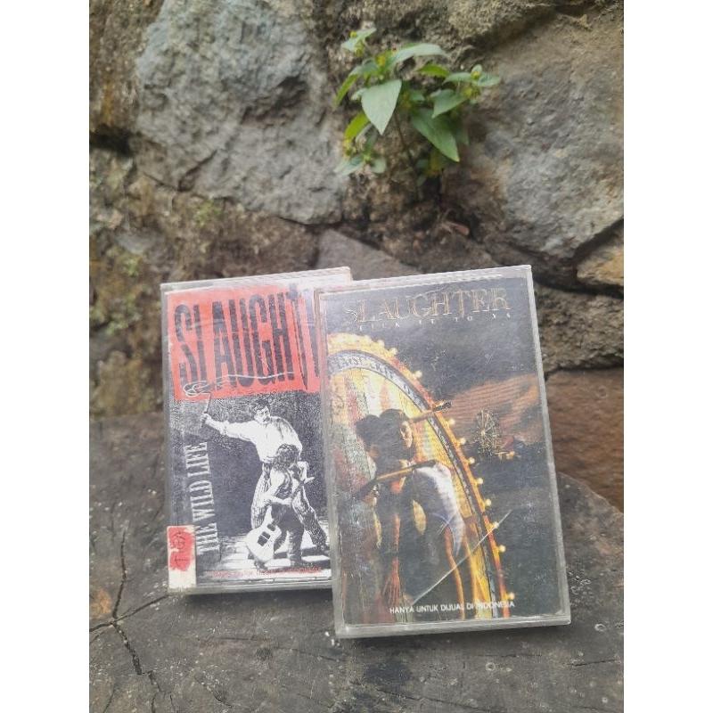 Kaset Pita Slaughter