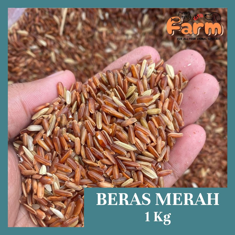 

Beras Merah Pecah Kulit 1 Kg