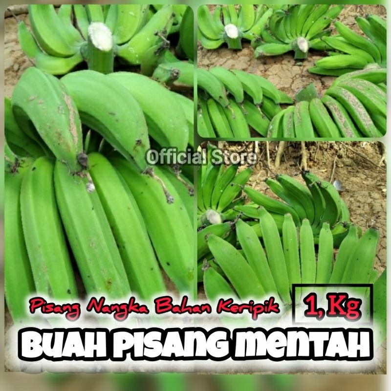 

COD - 1Kg Buah Pisang Mentah / Pisang Mentah / Buah pisang Nangka Mentah