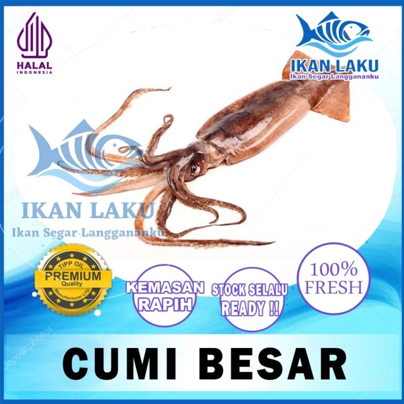 

CUMI BESAR FRESH TERMURAH BERGARANSI IKAN LAKU IKAN SEGAR IKAN BEKU