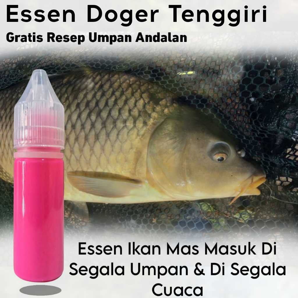 Essen ikan mas doger tenggiri, essen ikan mas 15 ml, essen ikan mas indukan, essen ikan mas rame, es