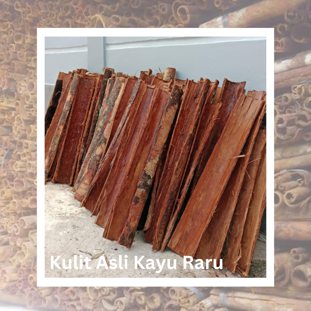 

1kg Kulit Asli Kayu Raru Medan Kulit Raru Kering,Bersih Siap Rebus