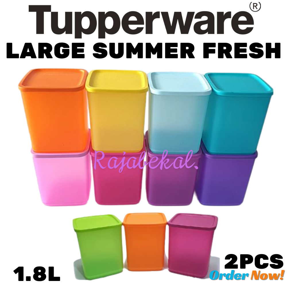 PROMO Tupperware  Large tropical 2pcs warna random large summer