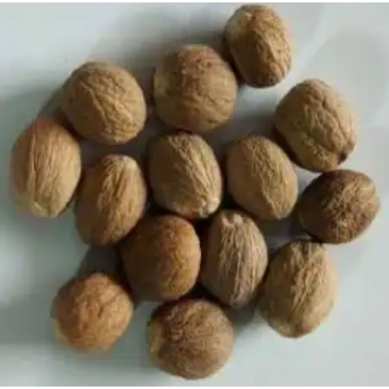 

INSTAN - BIJI PALA 100GRAM