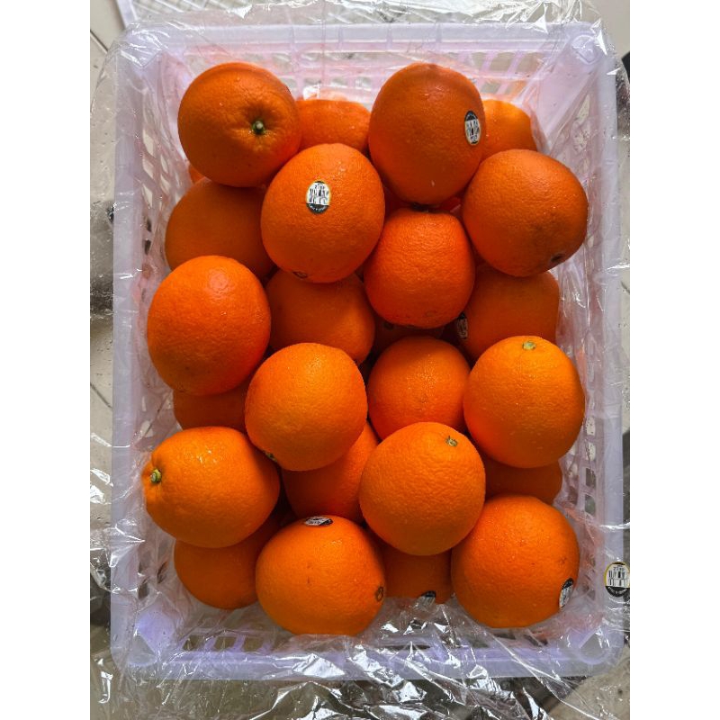 

jeruk navel berat 1kg