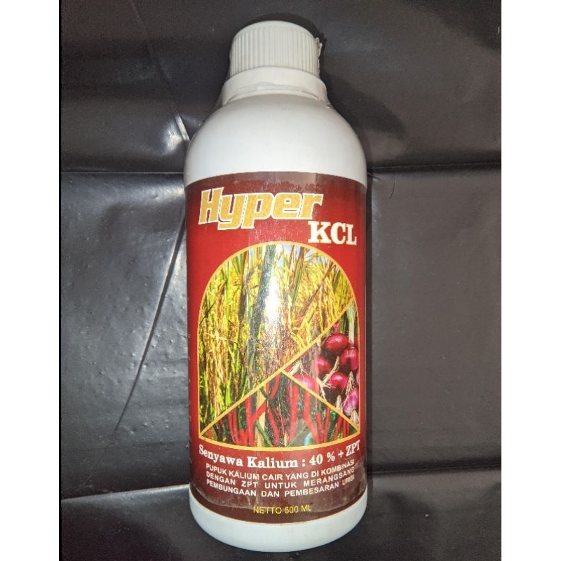 PUPUK KCL CAIR HYPER 500ML KCL SUPER PEMBESAR DAN PEMANIS BUAH