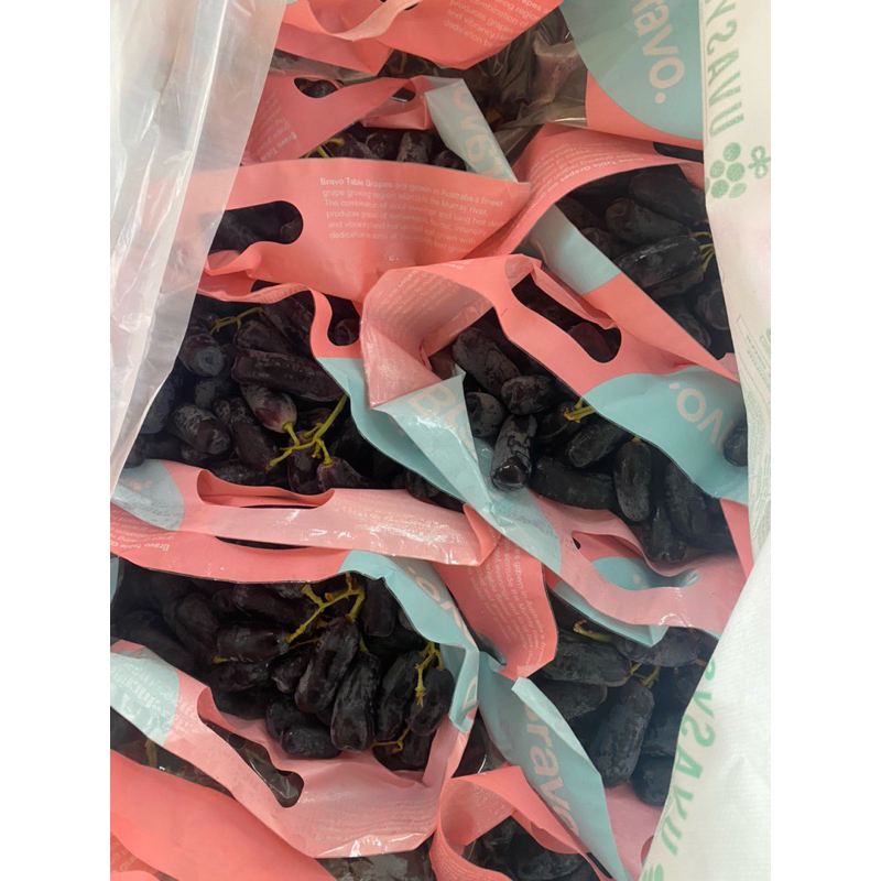 

buah anggur hitam moondrop seedless fresh Import Australia 1 dus 10kg-/+