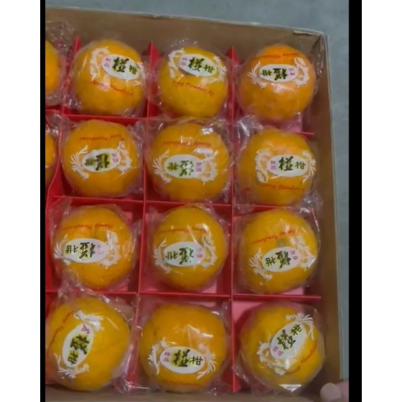 

JERUK PONKAM ISI 40 PCS