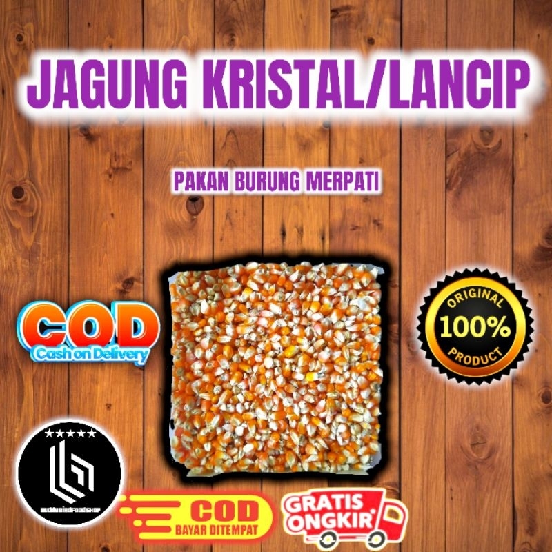 Jagung kristal/lancip pakan burung merpati/dara kolong,balap dll