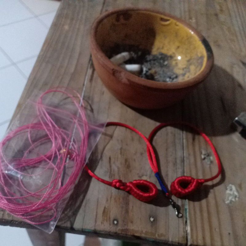 tali elang alap-alap pemburu