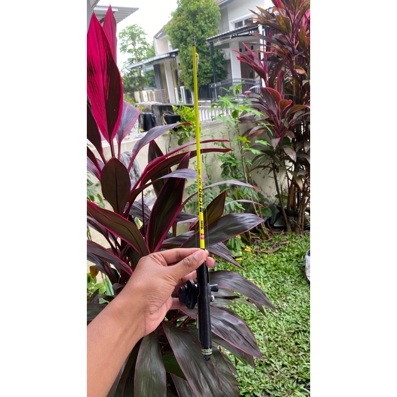 Tegek jigmen micro pole 180