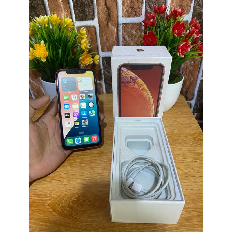 IPHONE XR 256 GB INTER