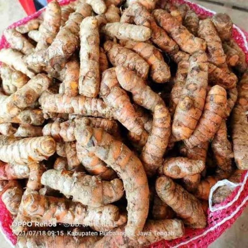 

KUNYIT/bumbu masak/REMPAH-REMPAH/Jamu