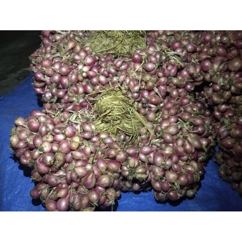 

Bawang Merah Sayur Premium 2 Kg