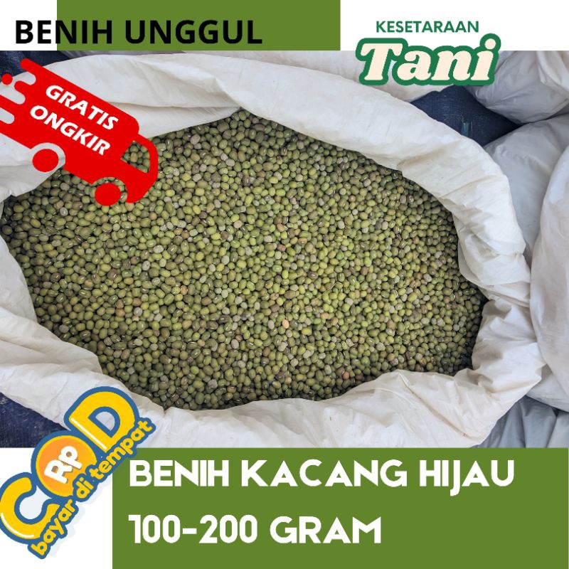 

160 gram benih kacang hijau