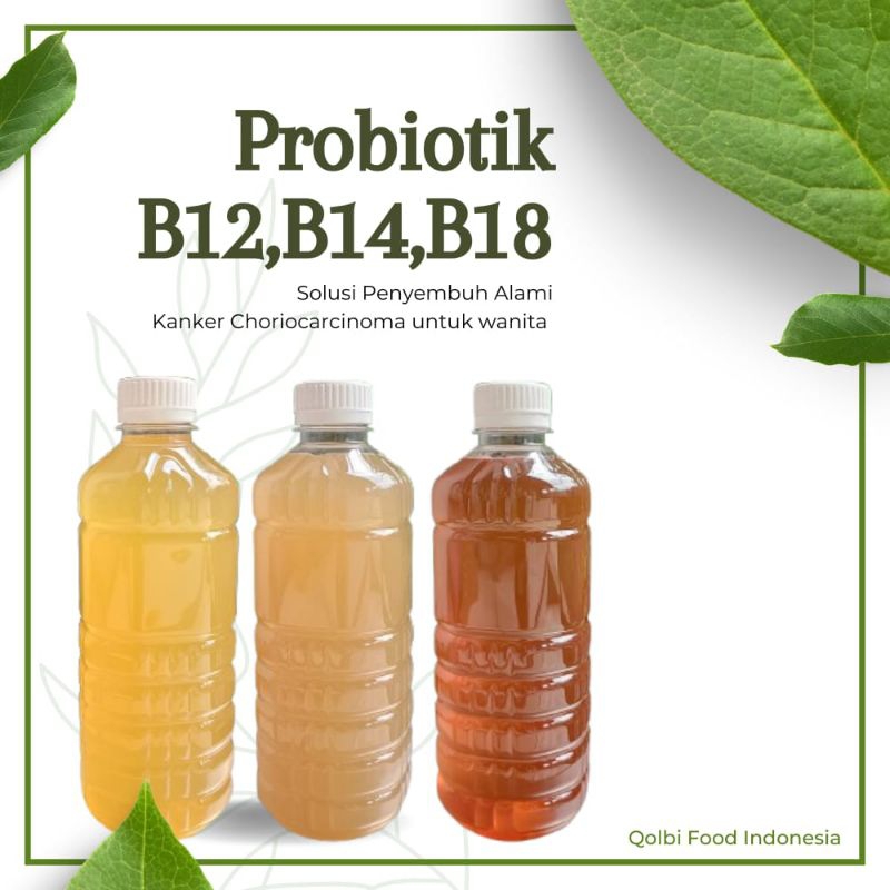 

Paket Herbal Probiotik Alami Kanker Choriocarcinoma untuk wanita