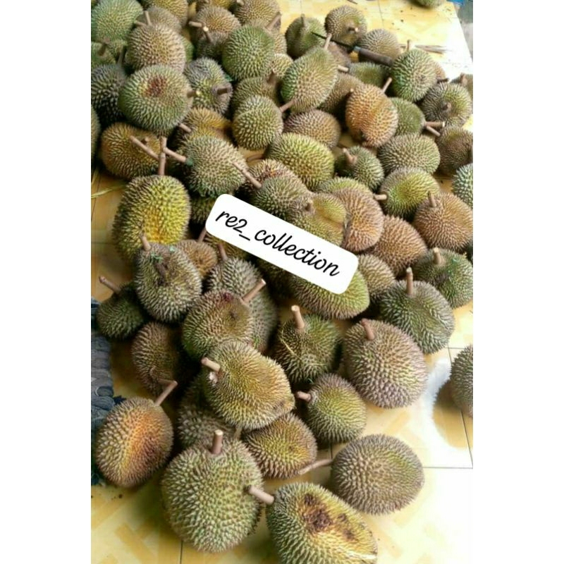

Durian Lokal Gn.Pati sudah kupas. bergaransi, manis & legit