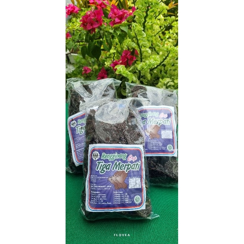 

Cemilan Batik Madura Flovea /Rengginang 3 Merpati koin cumi