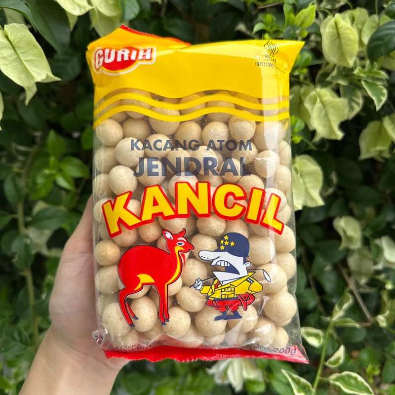 

Kacang Telor (KANCIL)