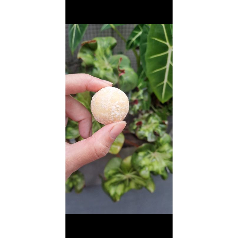 

Cookies Salju Keju Kue Kering Biskuit