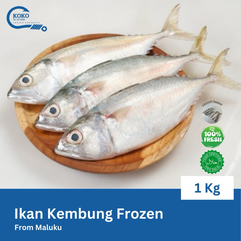 

LIMITED STOCK - IKAN KEMBUNG FROZEN MALUKU 1KG