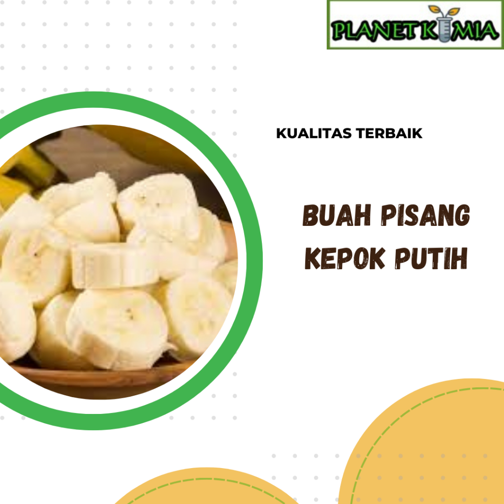 

ekstrak buah pisang kepok putih best product