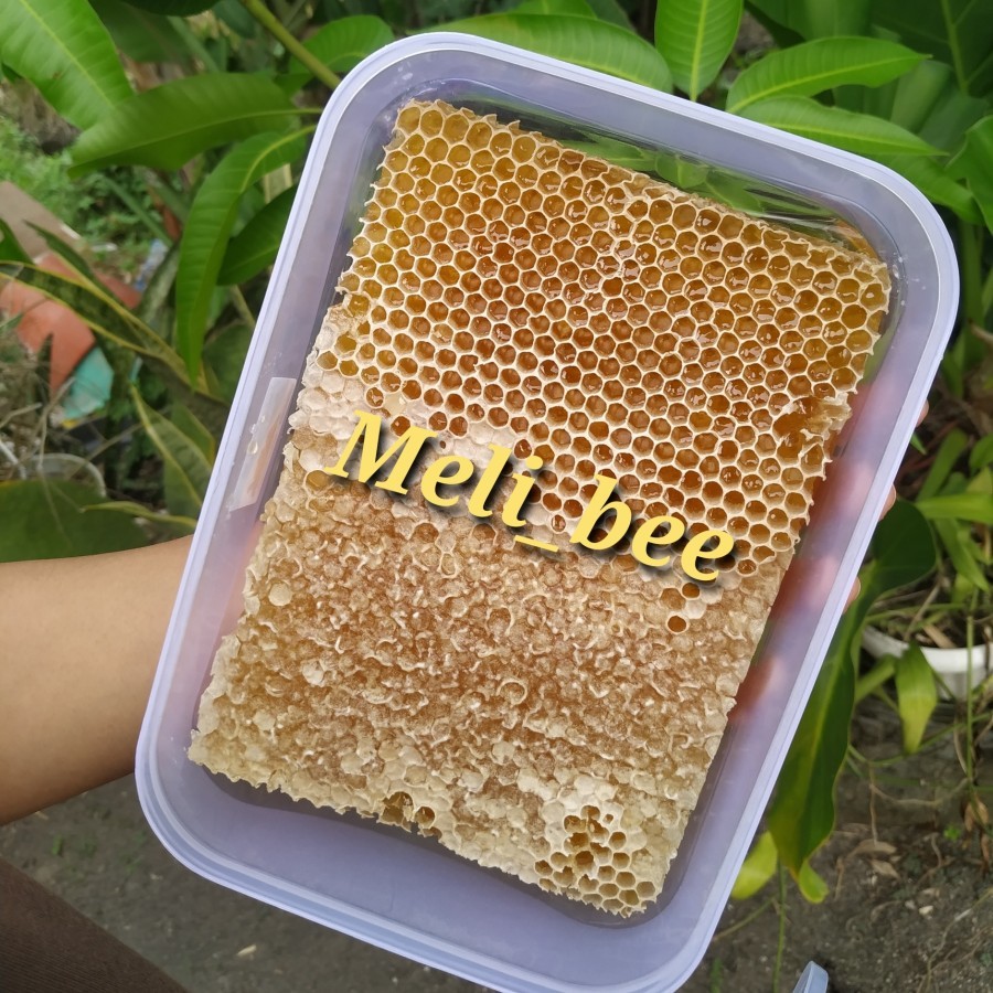 

MADU SARANG ASLI madu sarang/sarang madu/honeycomb 500 gram