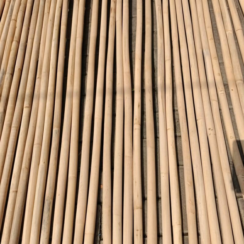 Toya Rotan Silat Toya IPSI