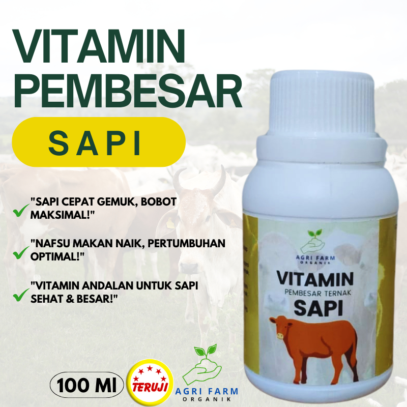 Vitamin ternak sapi,Vitamin sapi agar cepat gemuk,vitamin sapi cepat gemuk,Vitamin nutrisi sapi