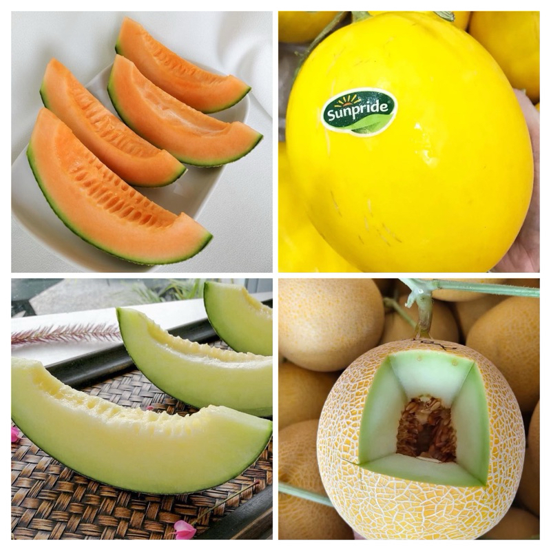 

Melon Hijau Madu | Melon Sakata Orange Manis | Melon Premium Golden | Melon Golden Emerald 1 butir