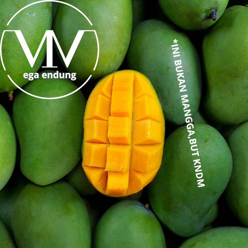 

Mangga Fresh/Manalagi/Mangga Madu 500gr