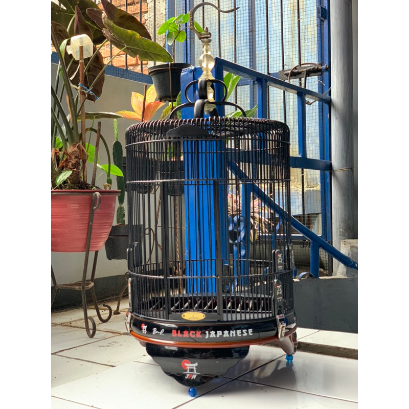 Limited edition Sangkar BNR Black Japanese PVC size 38