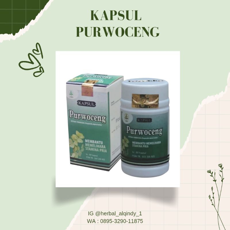 KAPSUL PURWOCENG TAZAKKA