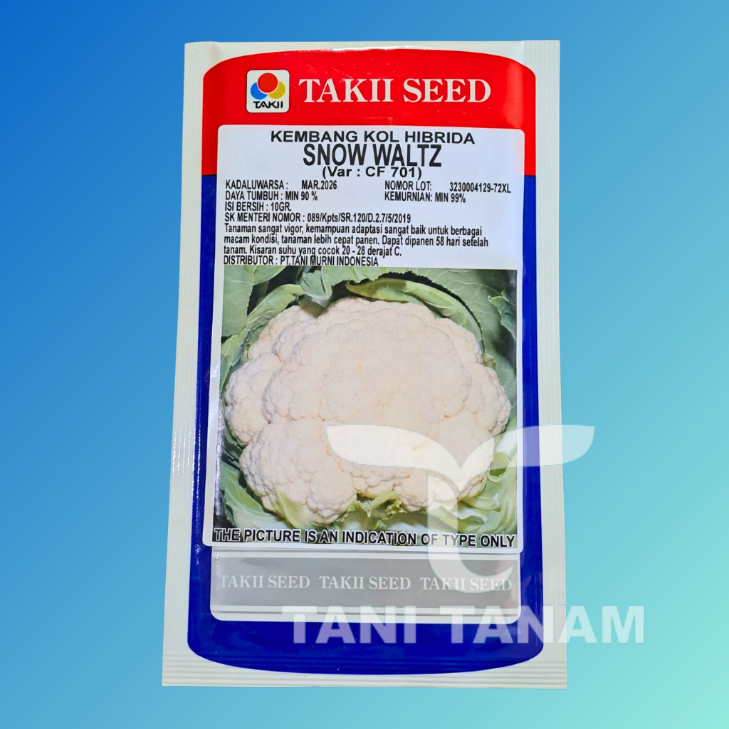 BENIH BUNGA KOL HIBRIDA SNOW WALTZ TAKII SEED // BENIH SNOW WAIT // BENIH SNOW WHITE