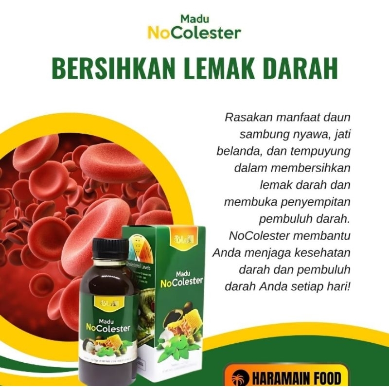 

Madu Nocolester Sehat Bersih Darah 275 gr