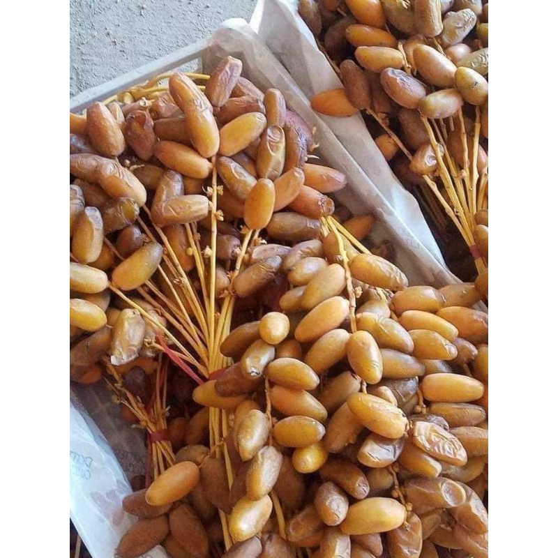 

Kurma Tunisia Tangkai 100g 1ons REPACK