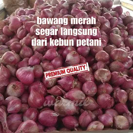

Bawang merah segar langsung dari kebun petani - Bawang merah lokal garut kualitas super premium
