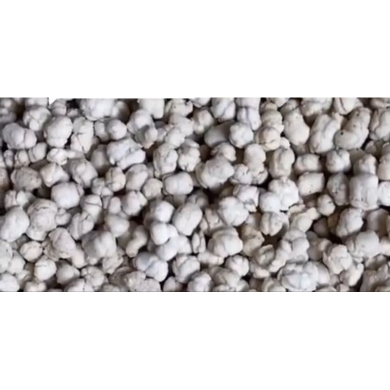 

pilus cikur 1 kg renyah cikurnya kerasa banget