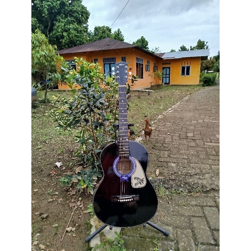 gitar kapok custom akustik