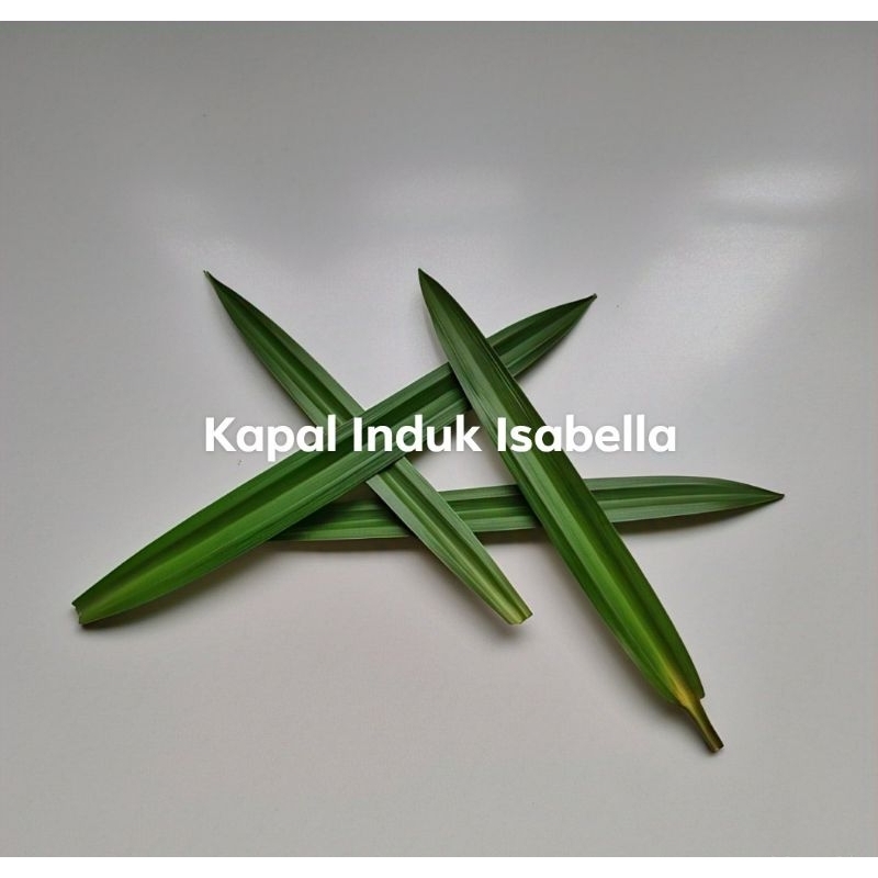 

Daun pandan perhelai