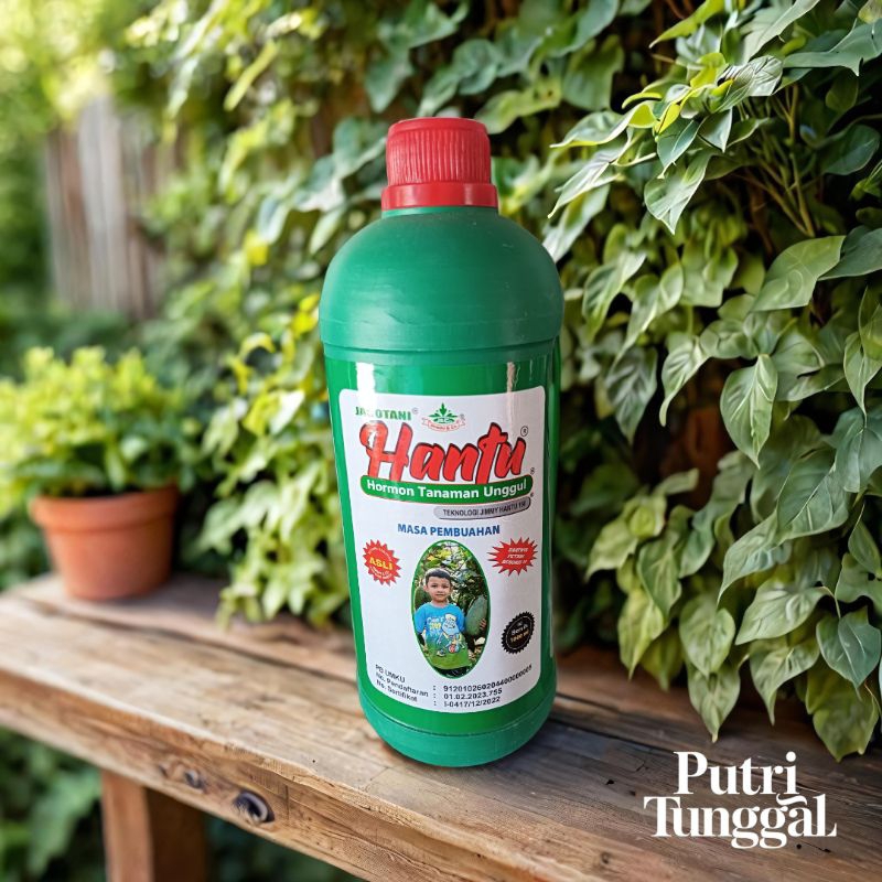 Hantu pupuk hormon organik cair original Jimmy hantu