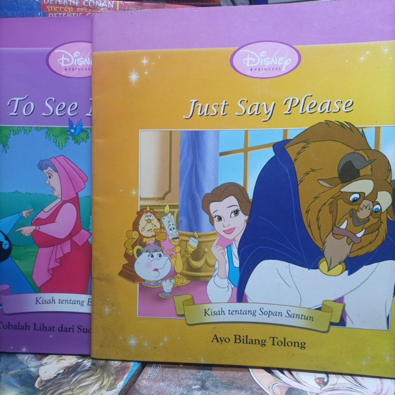 Buku Cerita Anak  Bergambar Disney Princess