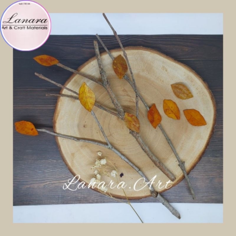Lanara 3 Pcs Ranting Pohon Kayu Asli Bercabang 21-25 cm