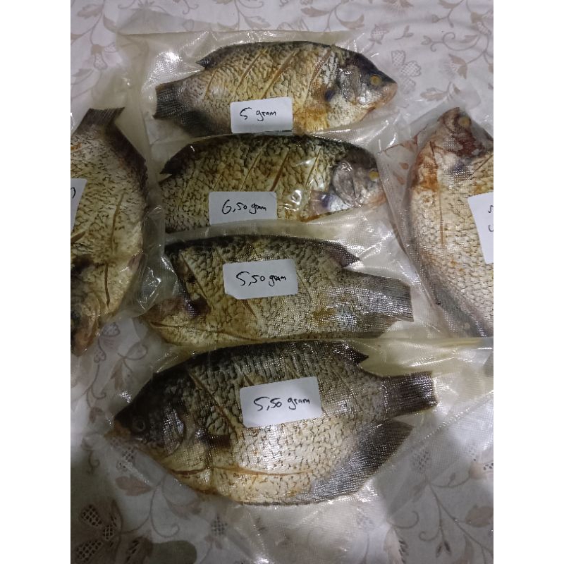 

IKAN GURAME MARINASI 5-7 ONS