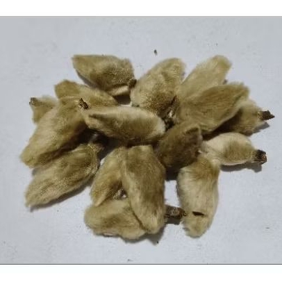 

Xin Yi Hua/ 辛夷花/ 100gr