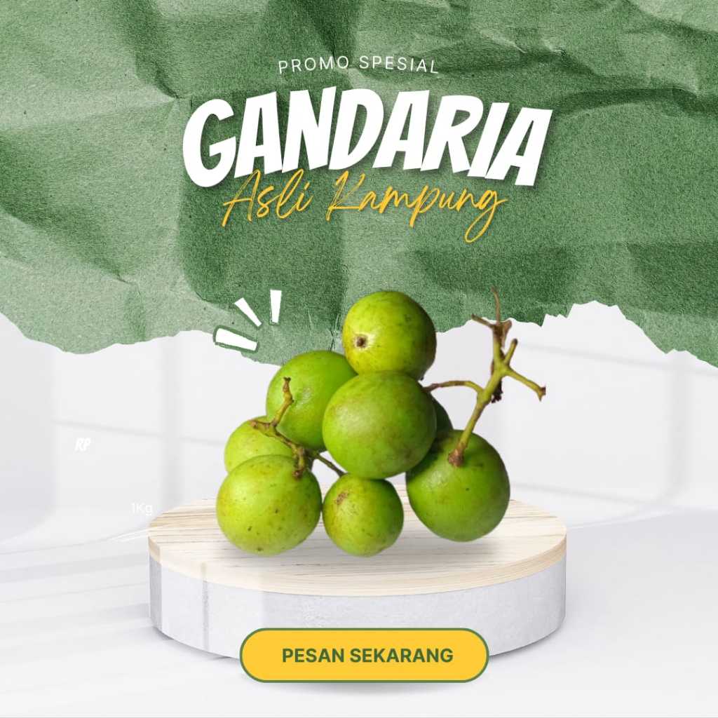 Buah Gandaria Muda Asam Segar Harga 1Kg
