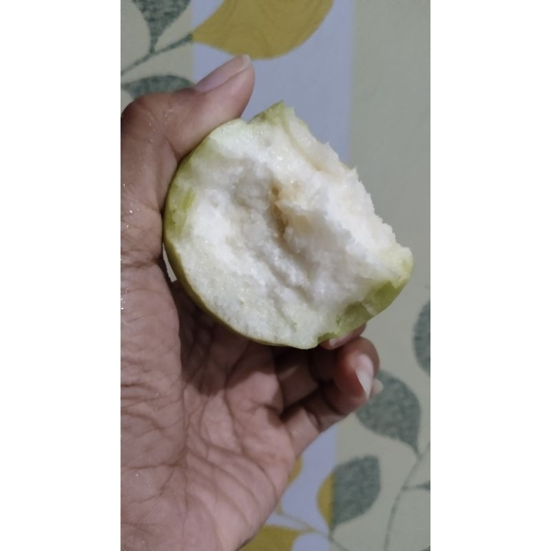 

Buah Jambu Kristal Putih 1kg isi 7 s/d 9
