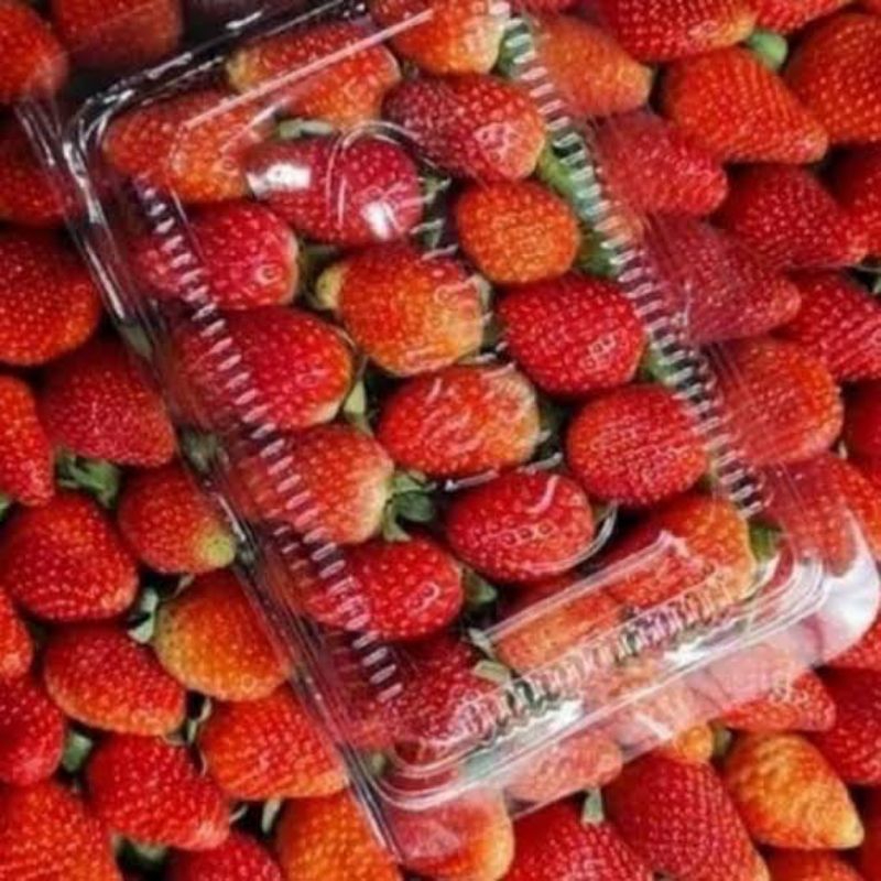 

buah strawberry segar 1pack/ strawberry buah segar 1pack