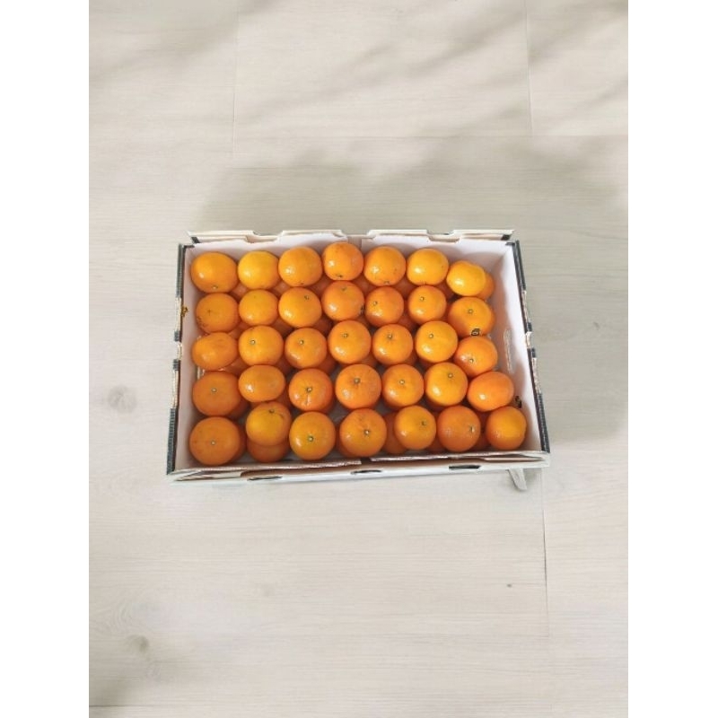 

Jeruk Wogan Fresh DMX (±8kg) 1 dus